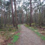 Struinen over het Valkschepad