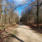 Naar de top van de Amerongse Berg