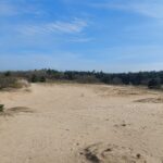 Op safari in de Loonse en Drunense Duinen